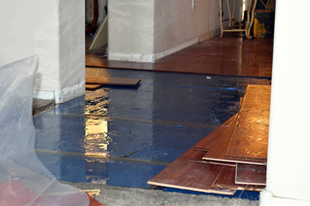 Professional Basement Flood Cleanup technician working in Somerset Center, MI
